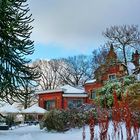 Winter im Botanischen Garten