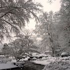 Winter im Botanischen Garten Augsburg 1