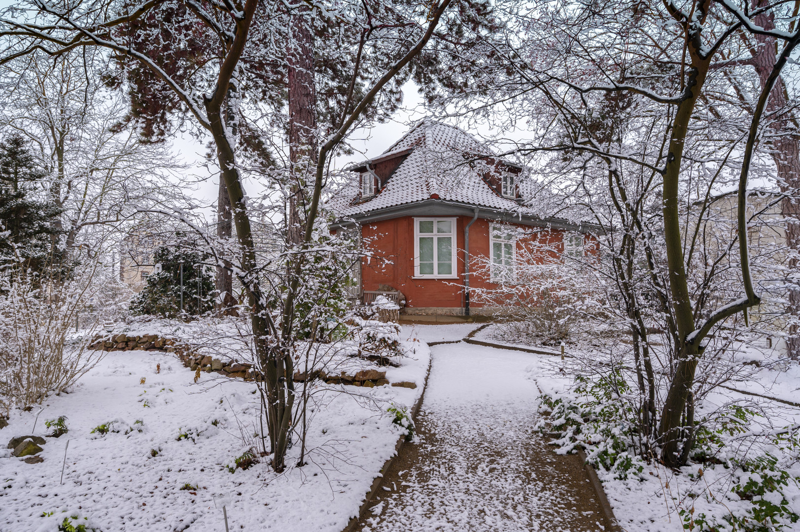 Winter im Botanischen Garten