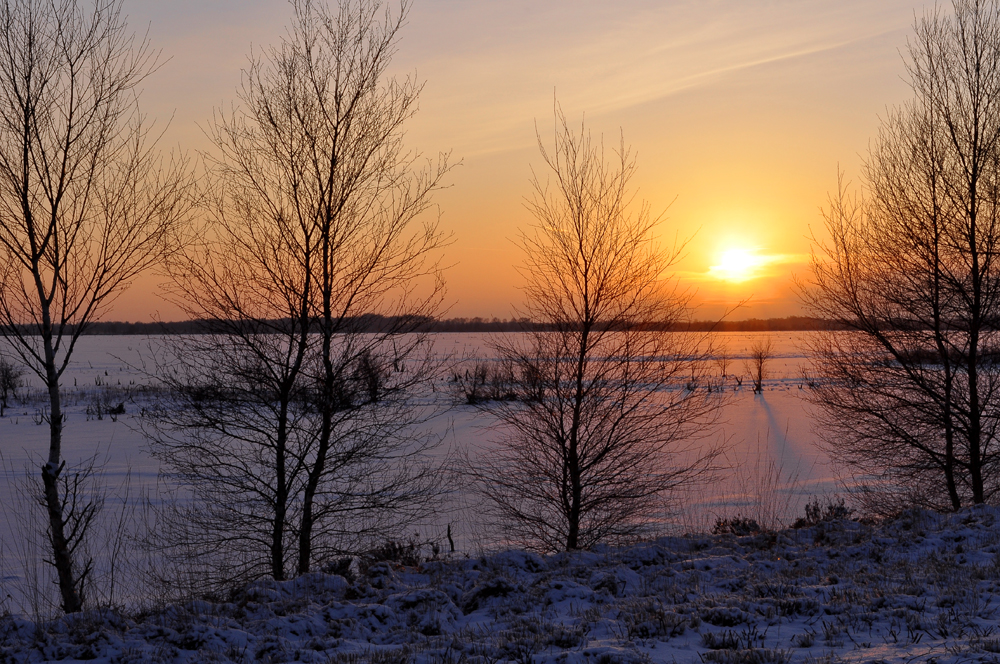 Winter im Bourtanger Moor