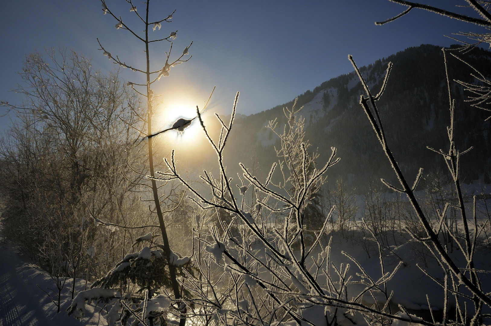 Winter im Bregenzerwald