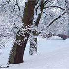 Winter im Bremer Bürgerpark