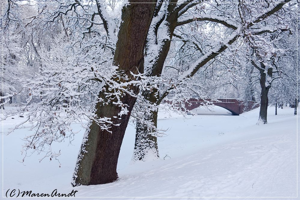 Winter im Bremer Bürgerpark