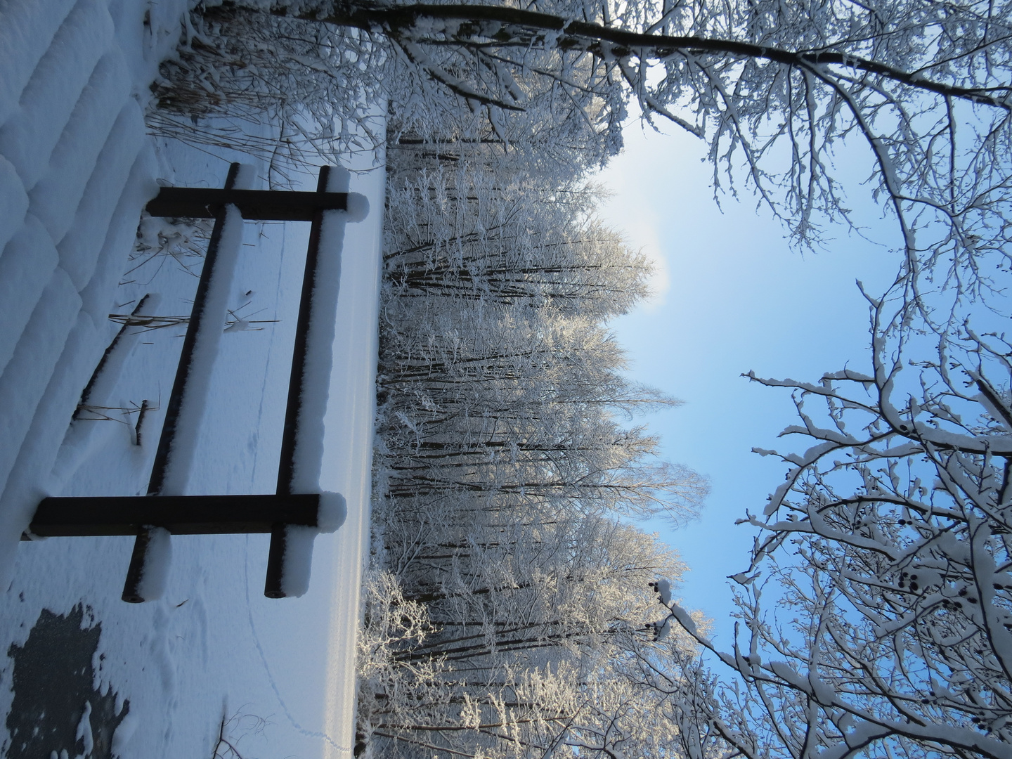 Winter im Briesetal