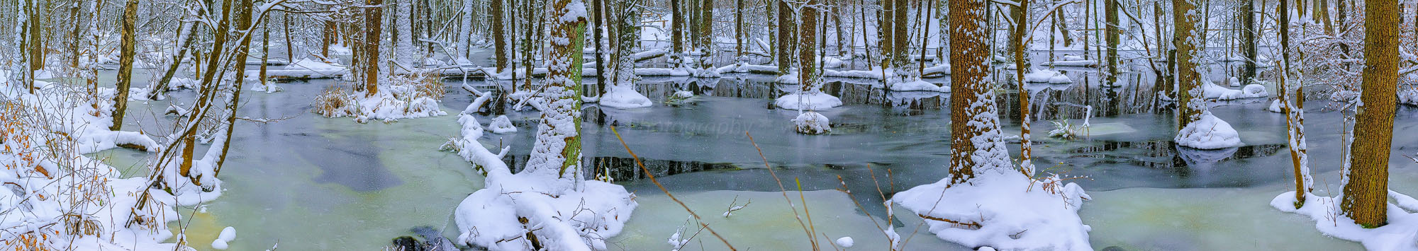 Winter im Briesetal; Oberhavel; nördlich von Berlin