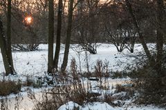 Winter im Britzer Garten