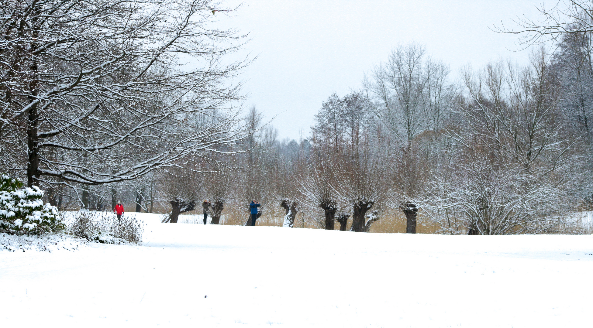 Winter im Britzer Garten Januar 2016