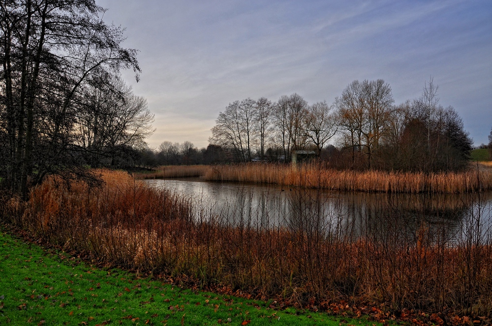 Winter im Britzer Garten von Berlin...... (Natur aus zweiter Hand)