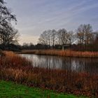 Winter im Britzer Garten von Berlin...... (Natur aus zweiter Hand)