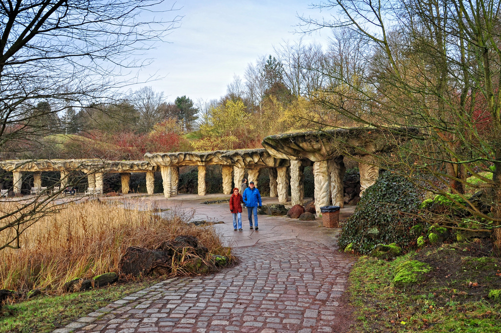 Winter im Britzer Garten von Berlin........ (Natur aus zweiter Hand)