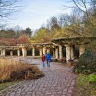 Winter im Britzer Garten von Berlin........ (Natur aus zweiter Hand)