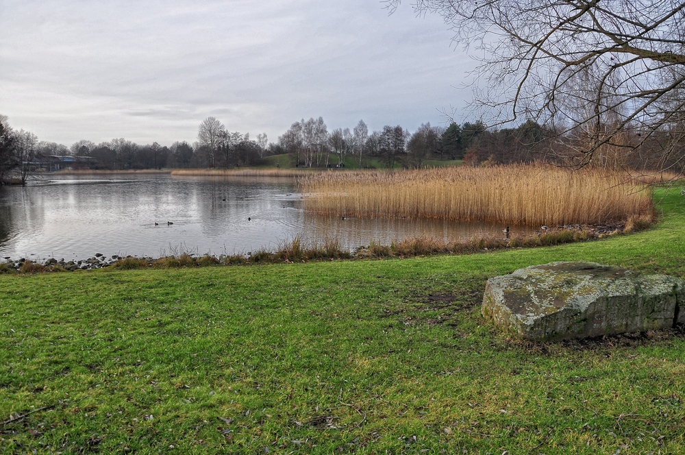Winter im Britzer Garten von Berlin..... (Natur aus zweiter Hand) Foto