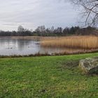 Winter im Britzer Garten von Berlin..... (Natur aus zweiter Hand)