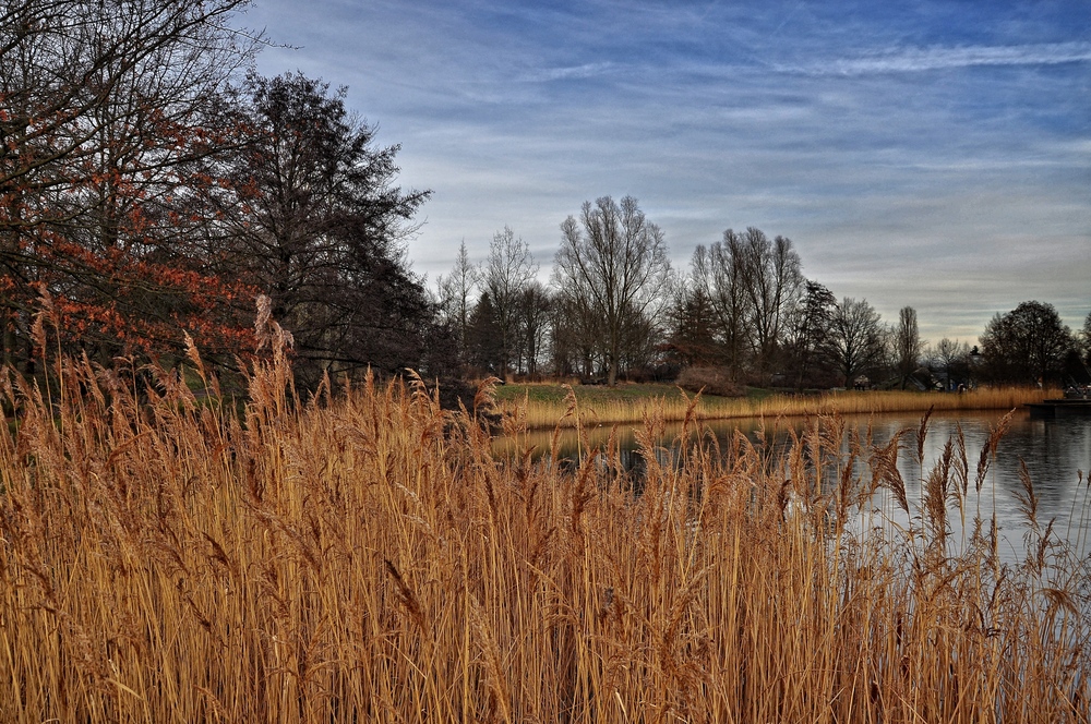 Winter im Britzer Garten von Berlin..... (Natur aus zweiter Hand) Foto