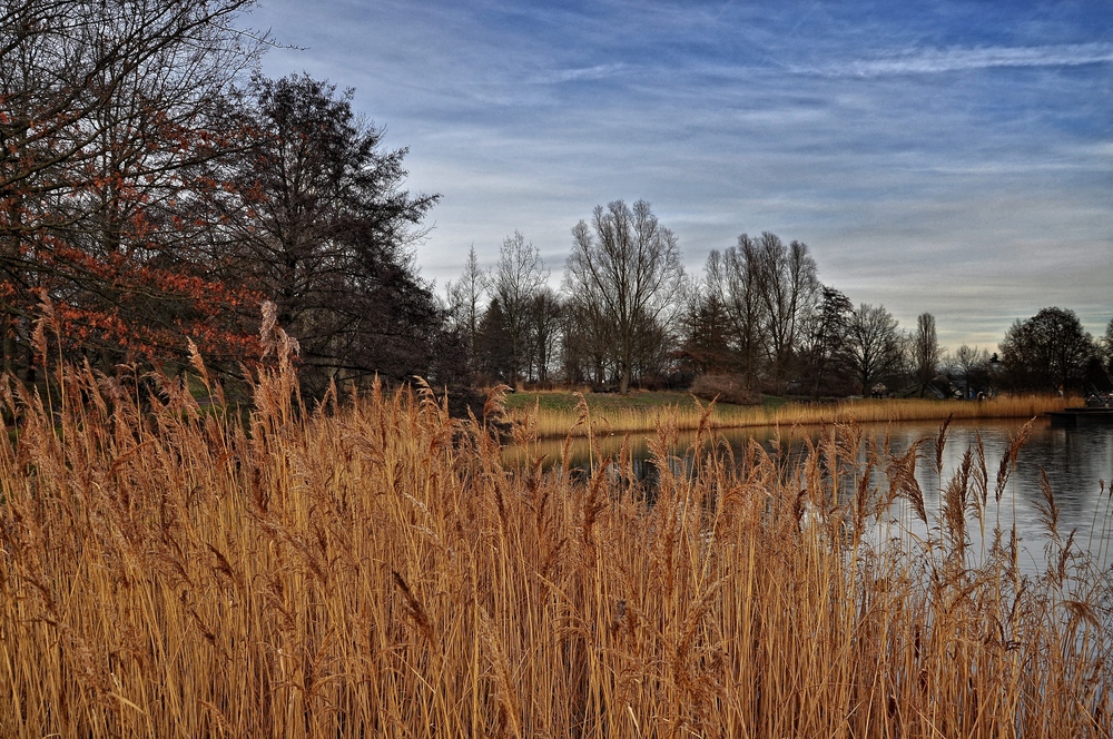 Winter im Britzer Garten von Berlin..... (Natur aus zweiter Hand)