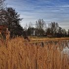 Winter im Britzer Garten von Berlin..... (Natur aus zweiter Hand)