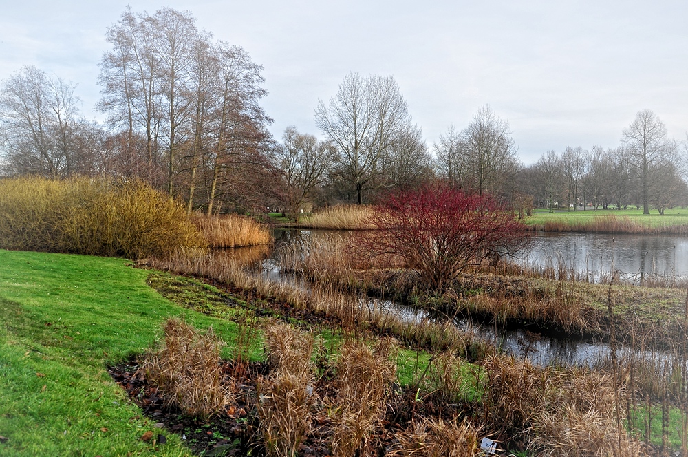 Winter im Britzer Garten von Berlin....... (Natur aus zweiter Hand)