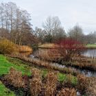 Winter im Britzer Garten von Berlin....... (Natur aus zweiter Hand)