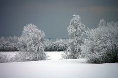 Winter im Brodersbyer Land