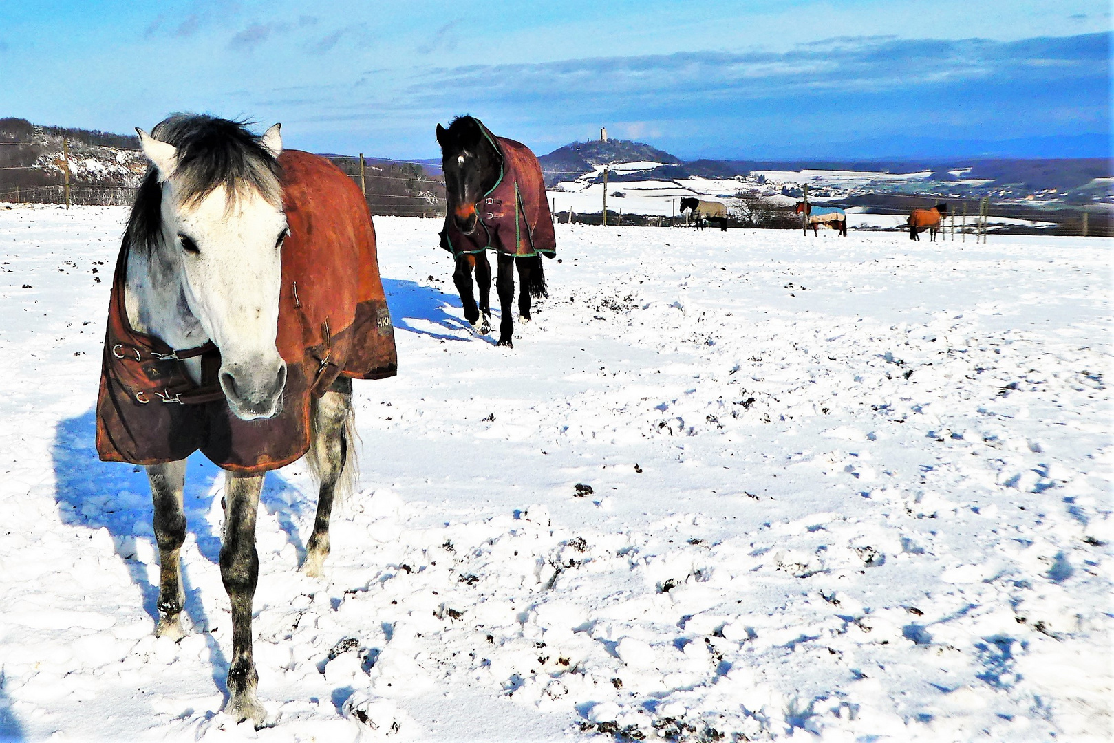 Winter im Brohltal