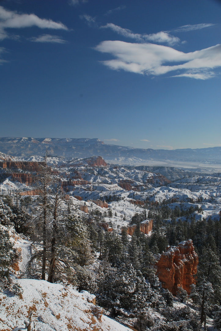 Winter im Bryce Canyon