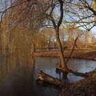 Winter im Bürgerpark