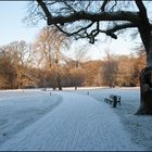 Winter im Bürgerpark