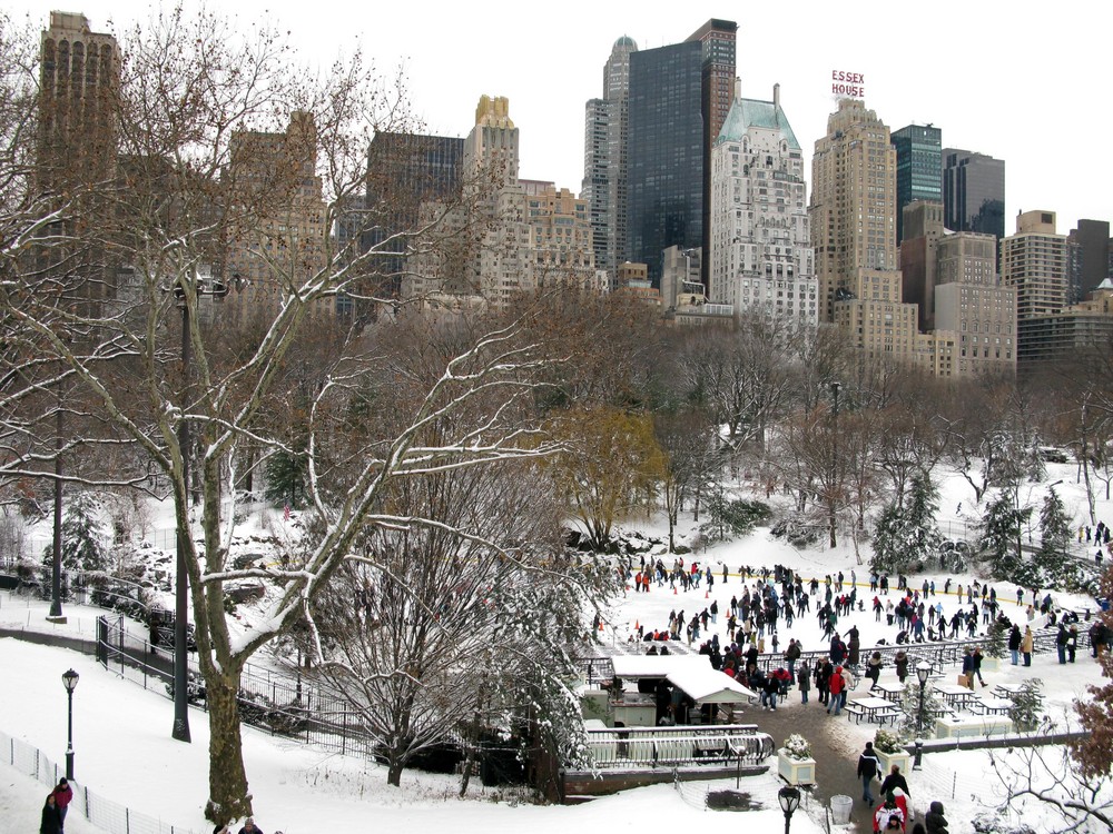 Winter im Central Park - 1 Foto & Bild | north america ...