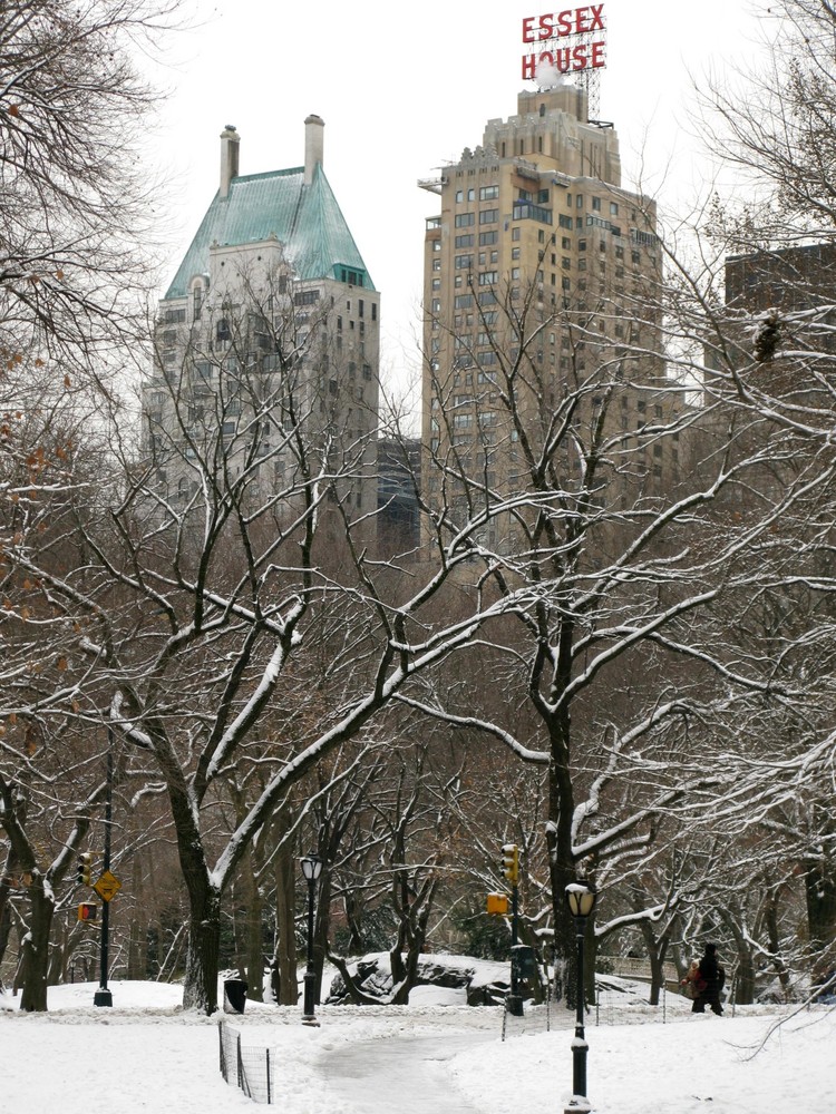 Winter im Central Park - 2