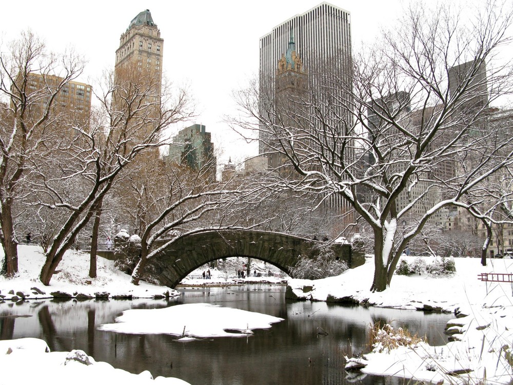 Winter im Central Park - 2.....