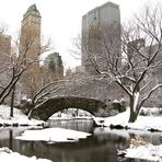 Winter im Central Park - 2.....