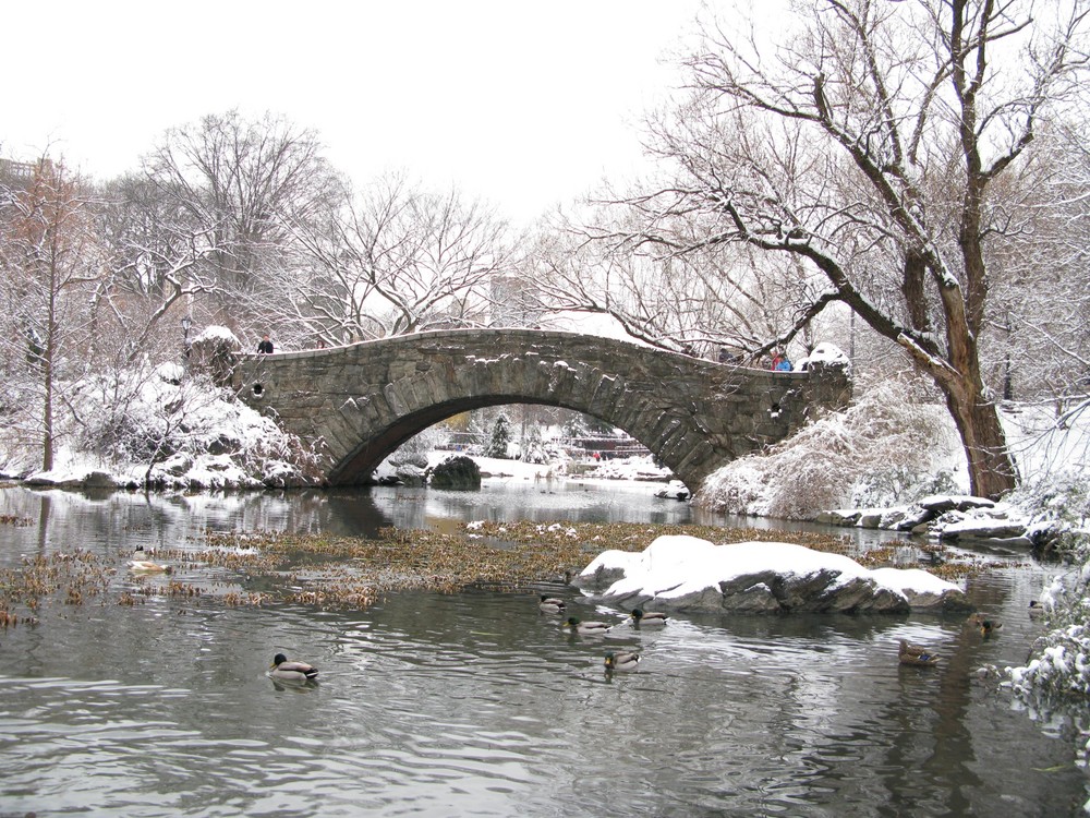 Winter im Central Park.....