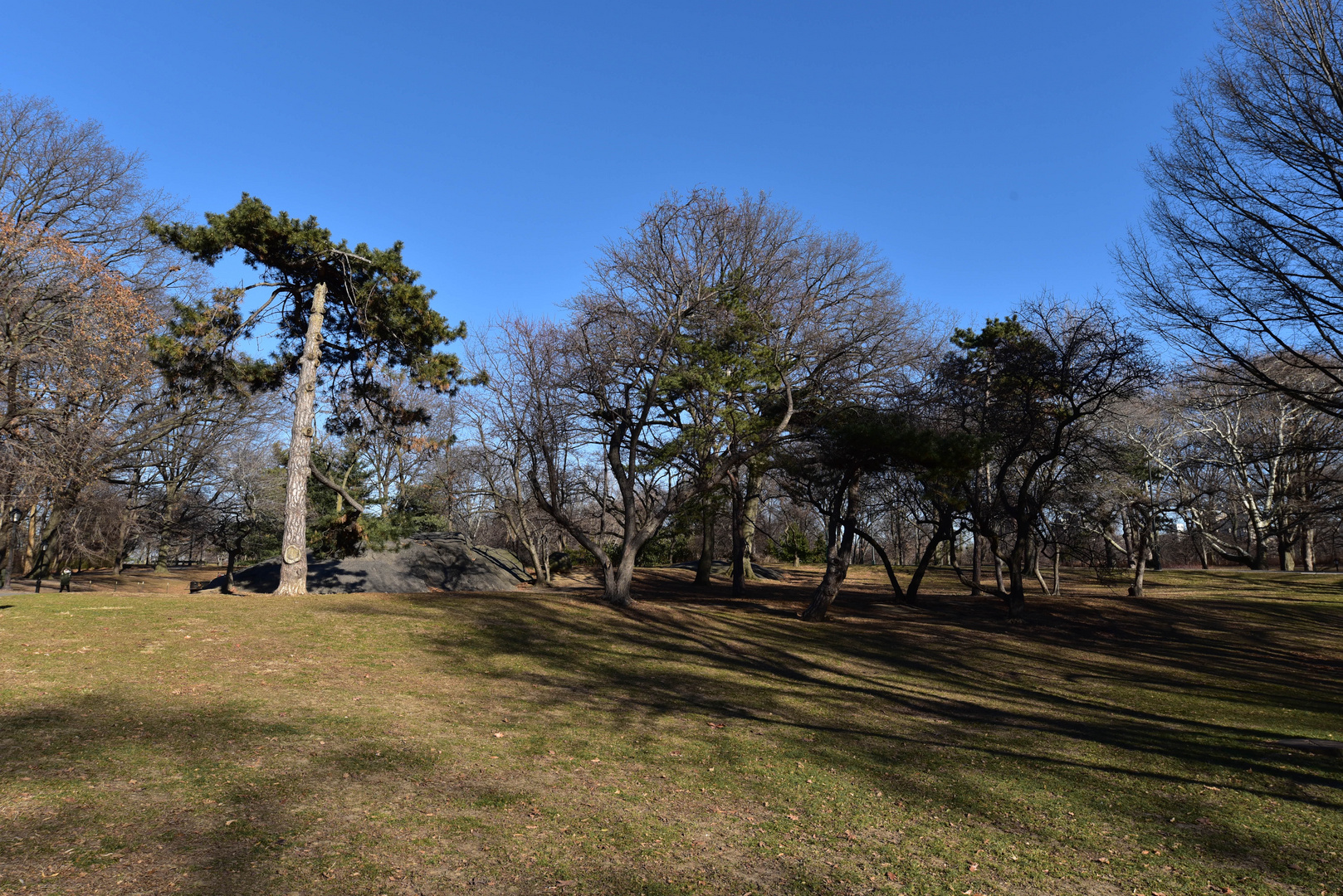 Winter im Central Park