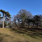 Winter im Central Park