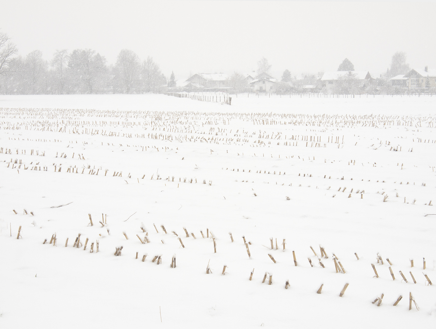 Winter im Chiemgau 2