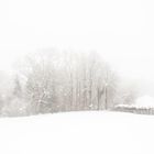 Winter im Chiemgau 4