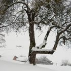 Winter im Chiemgau 6