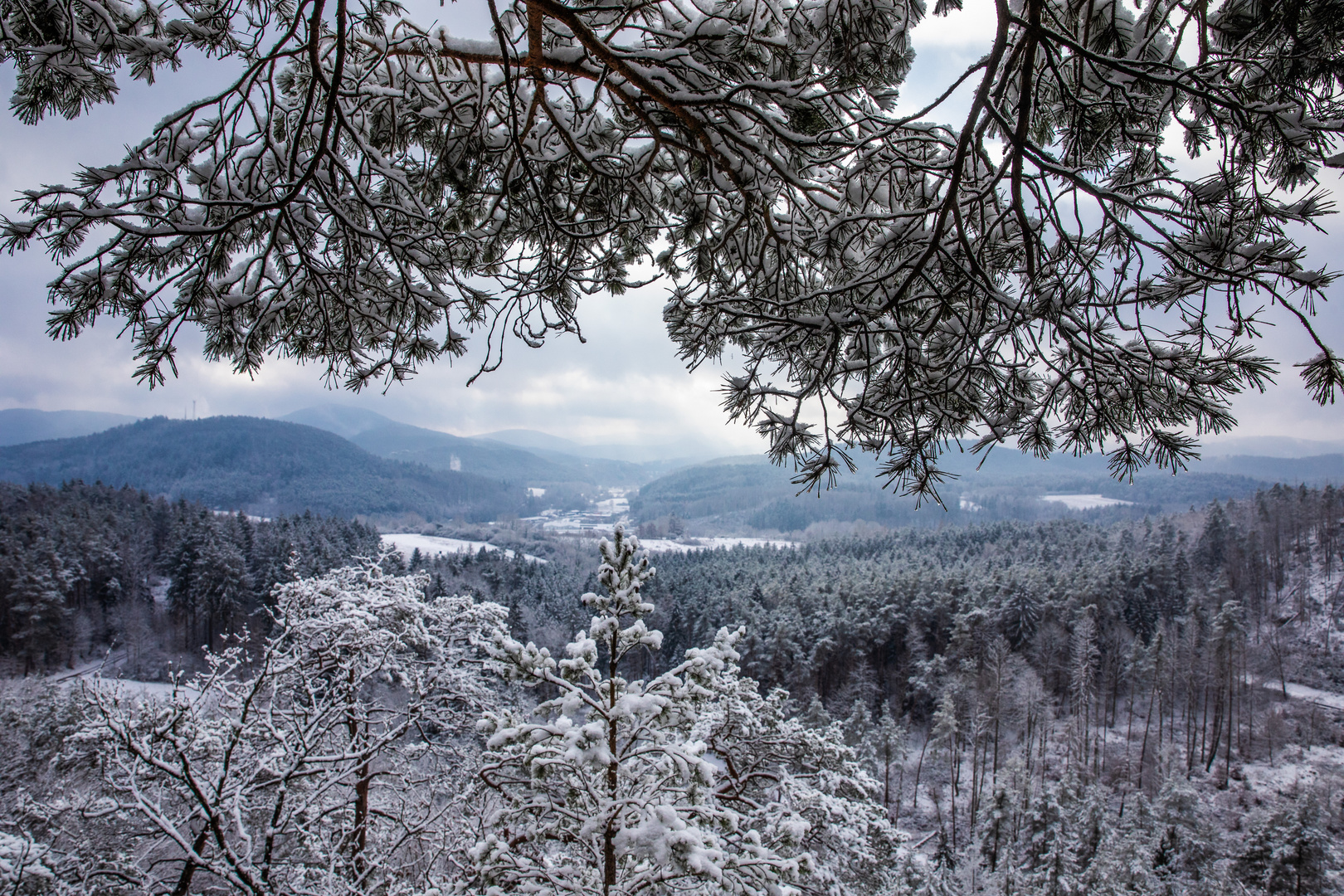 Winter im Dahner Felsenland