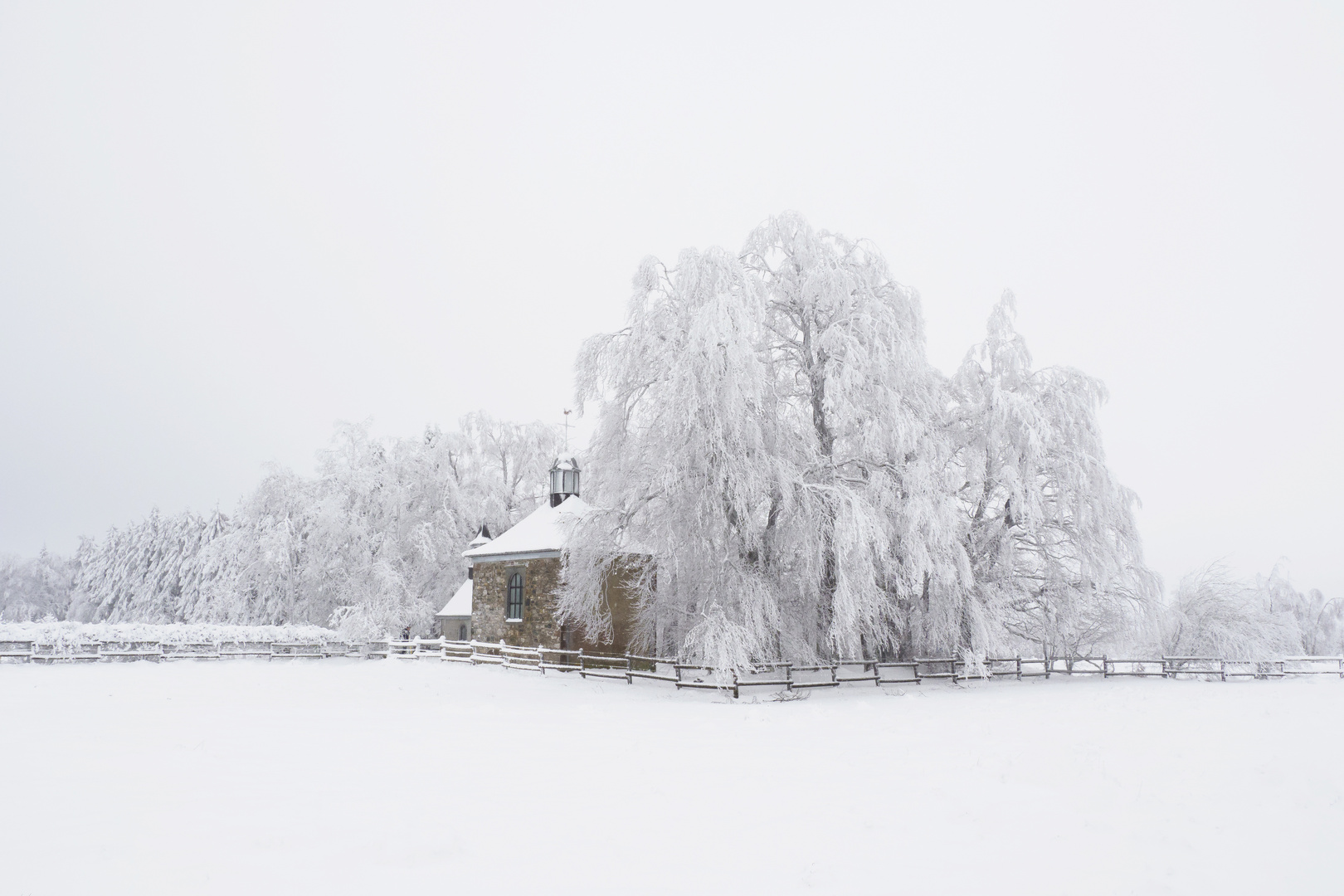 Winter im de Ardennen