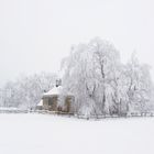 Winter im de Ardennen