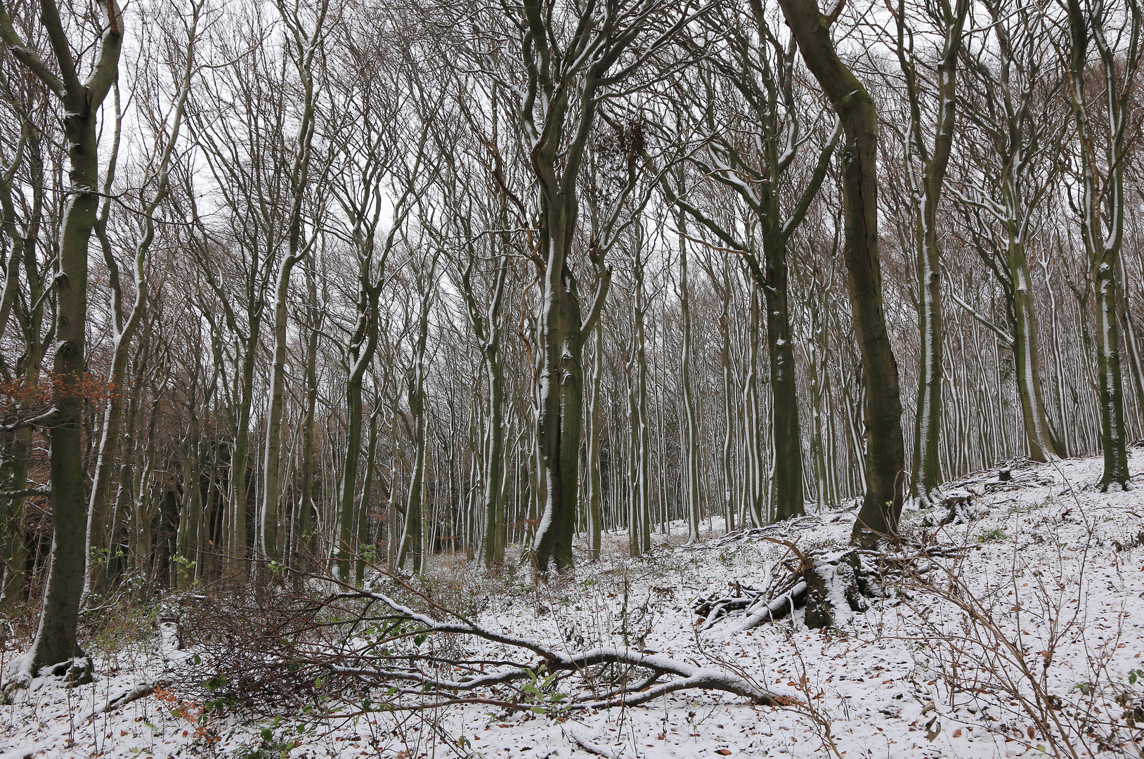 winter im deister