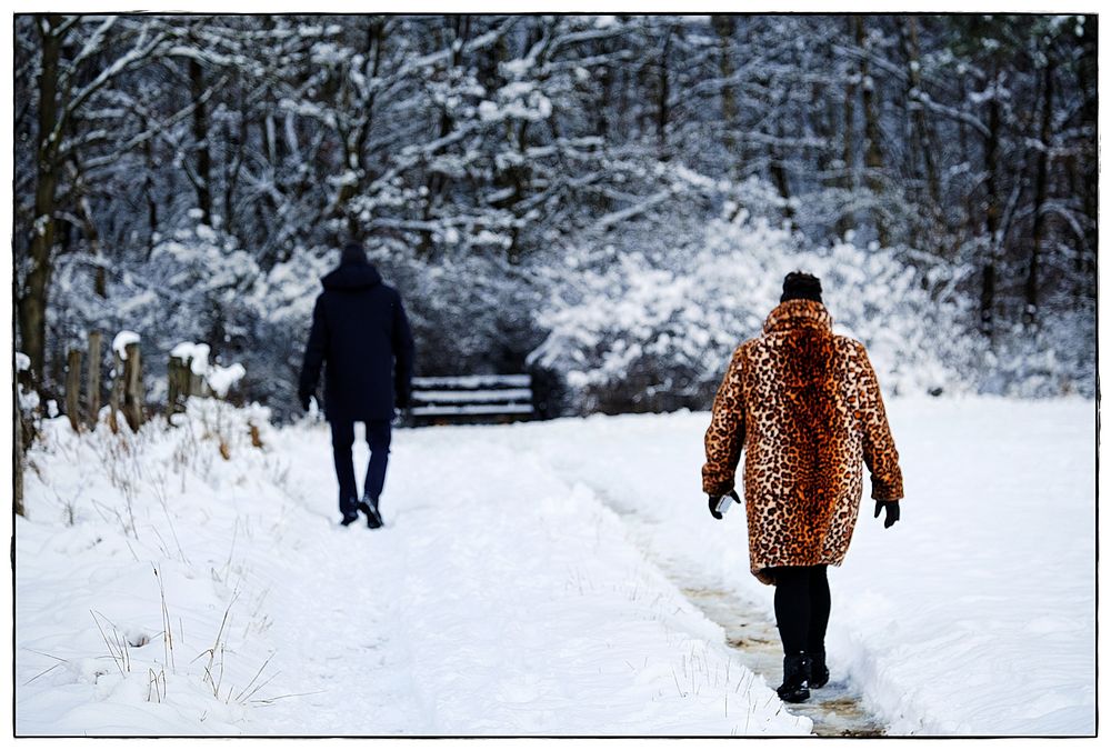 Winter im Dschungel