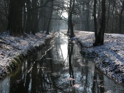 Winter im Duisburger Wald