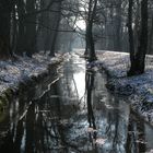 Winter im Duisburger Wald