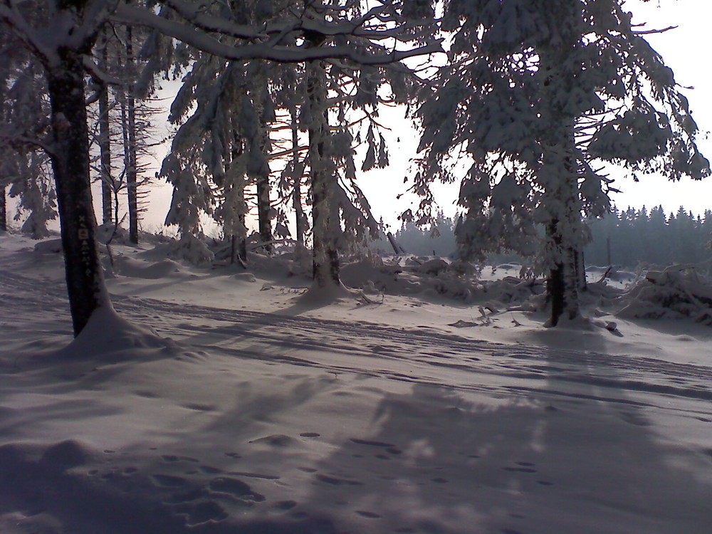 Winter im Ebbegebirge