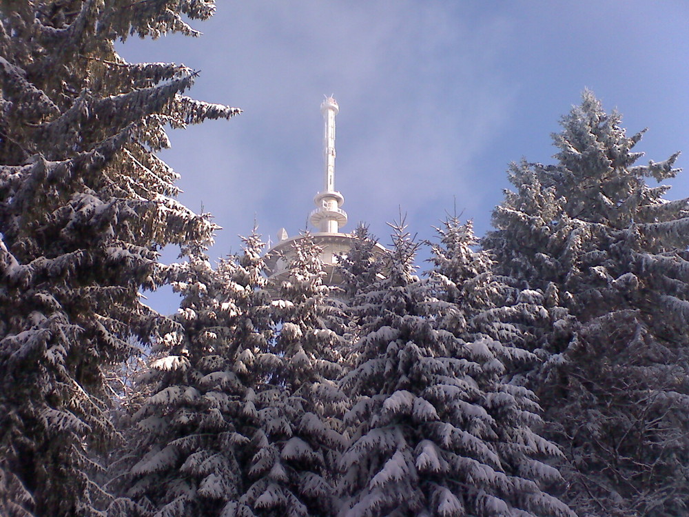 Winter im Ebbegebirge - Fernmeldeturm "Waldberg"