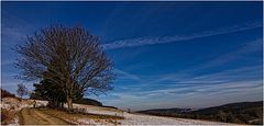 Winter im Ebbegebirge III