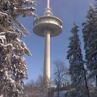 Winter im Ebbegirge - Fernmeldeturm "Waldberg"