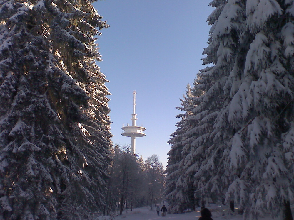 Winter im Ebbegirge - Fernmeldeturm "Waldberg"