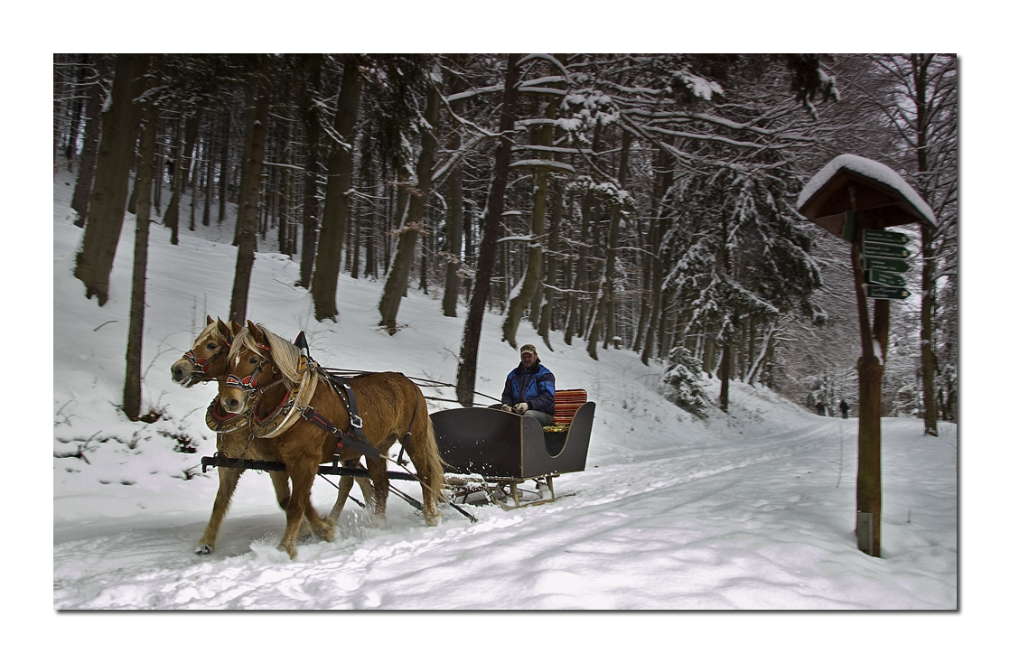 Winter im Eichsfeld